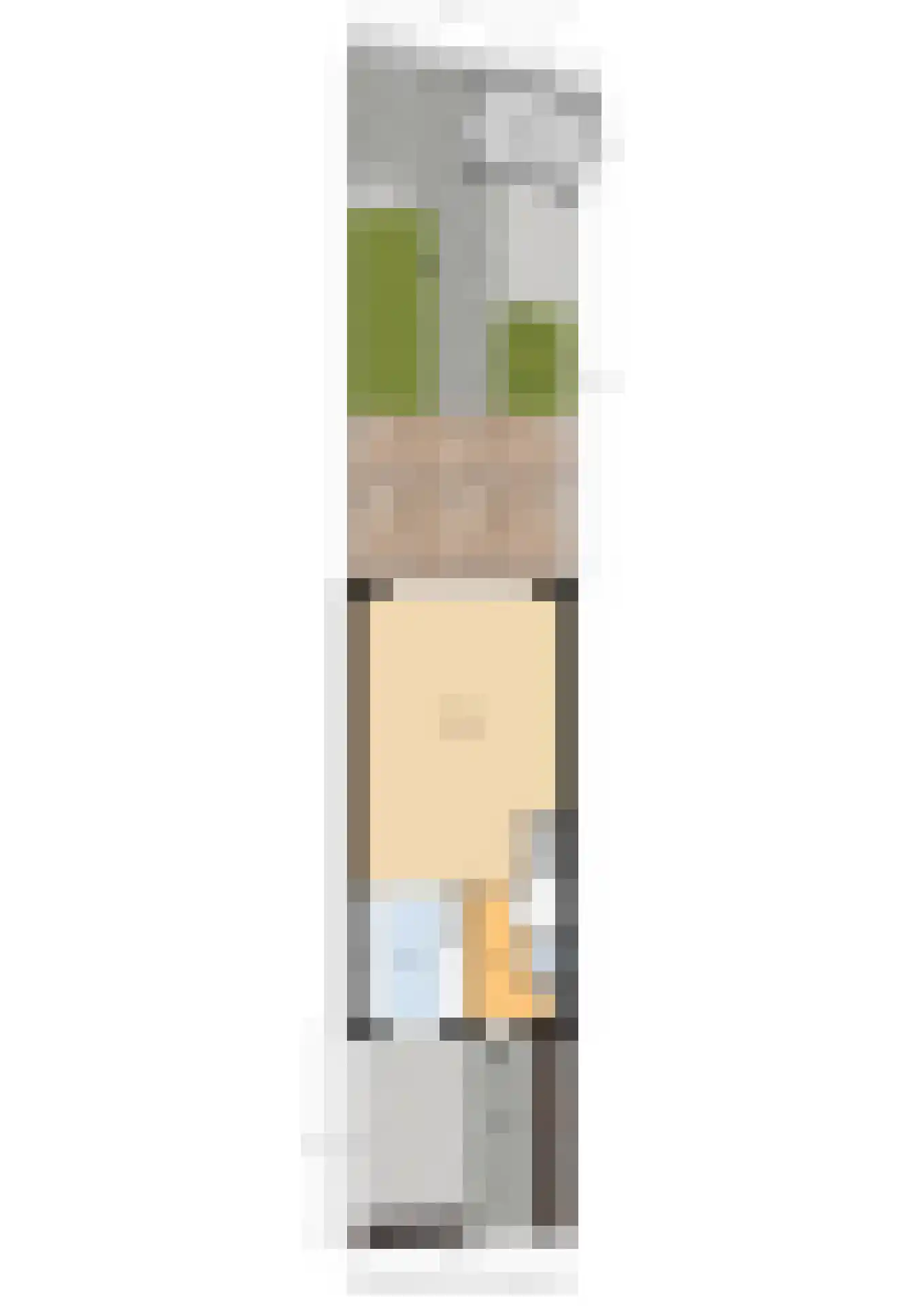 Langhuis 8 Voorthuizen thumbnail 37