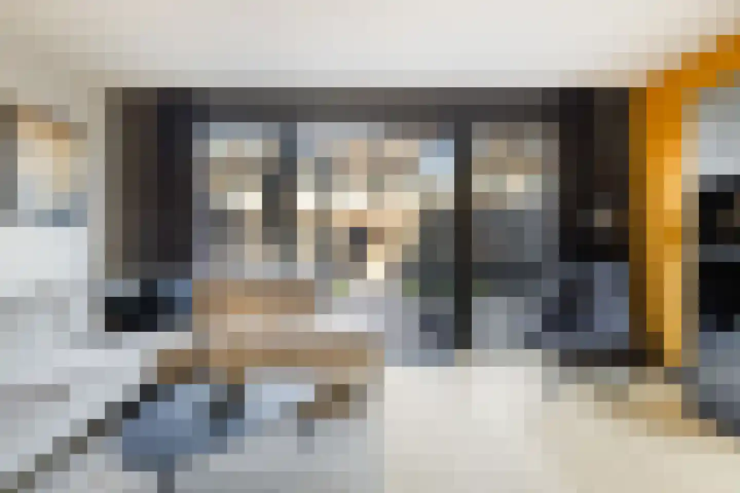 Langhuis 8 Voorthuizen thumbnail 4