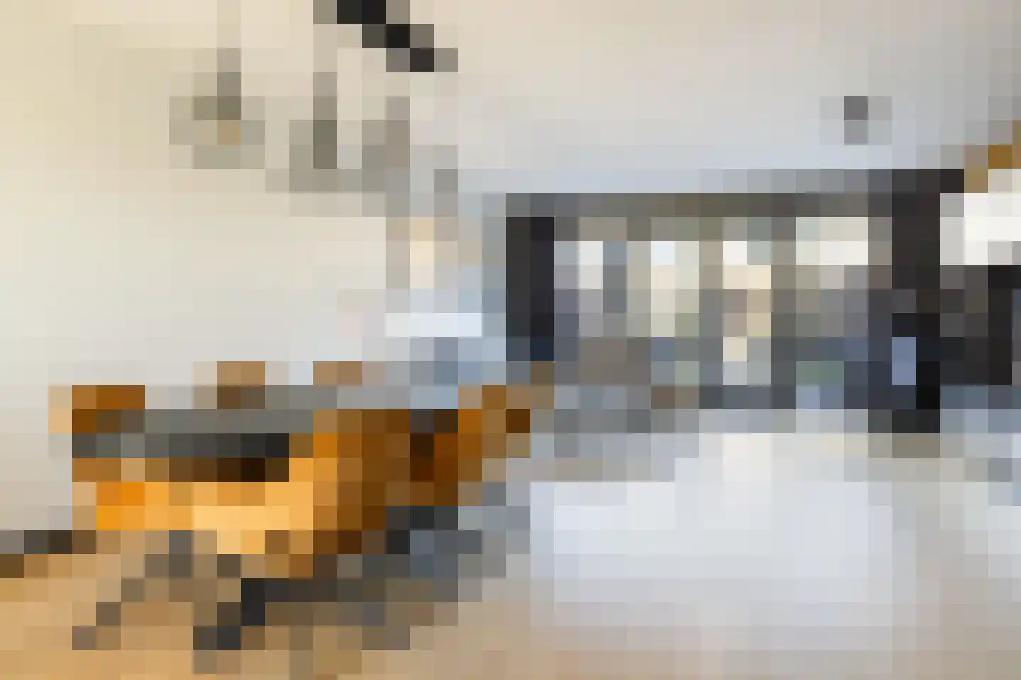 Langhuis 8 Voorthuizen thumbnail 6