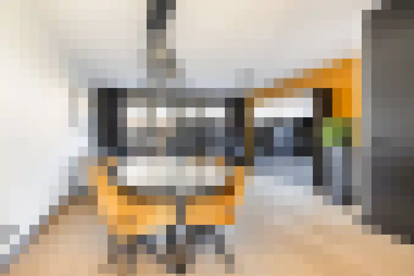 Langhuis 8 Voorthuizen thumbnail 7