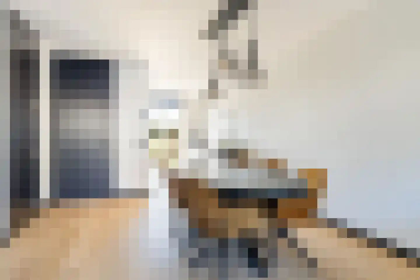 Langhuis 8 Voorthuizen thumbnail 9