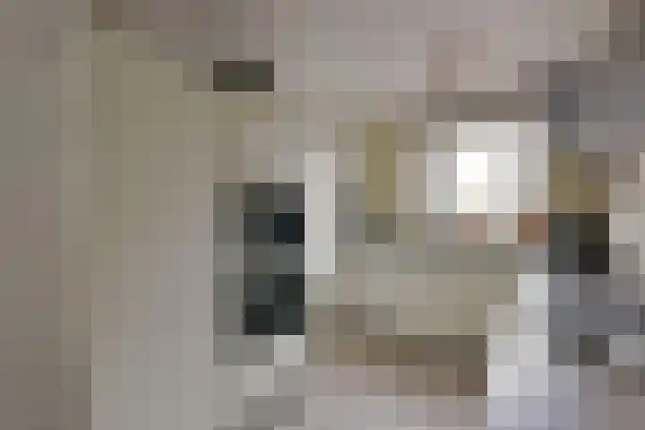 Langhuis 8 Wilnis thumbnail 12
