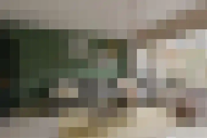 Langhuis 8 Wilnis thumbnail 7