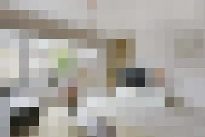 Langhuis 8 Wilnis thumbnail 8