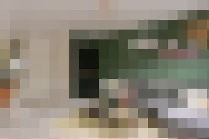 Langhuis 8 Wilnis thumbnail 9