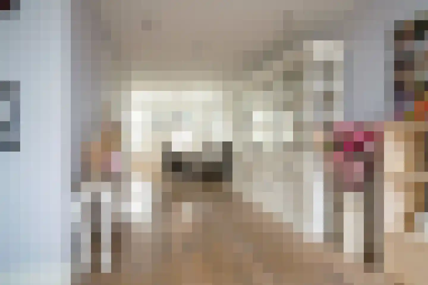 Langhuislaan 19 Landsmeer thumbnail 10