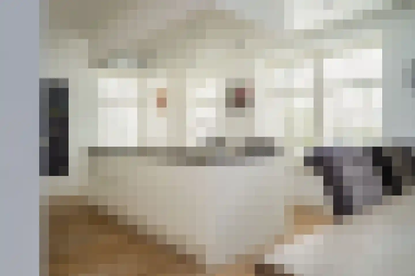 Langhuislaan 19 Landsmeer thumbnail 12