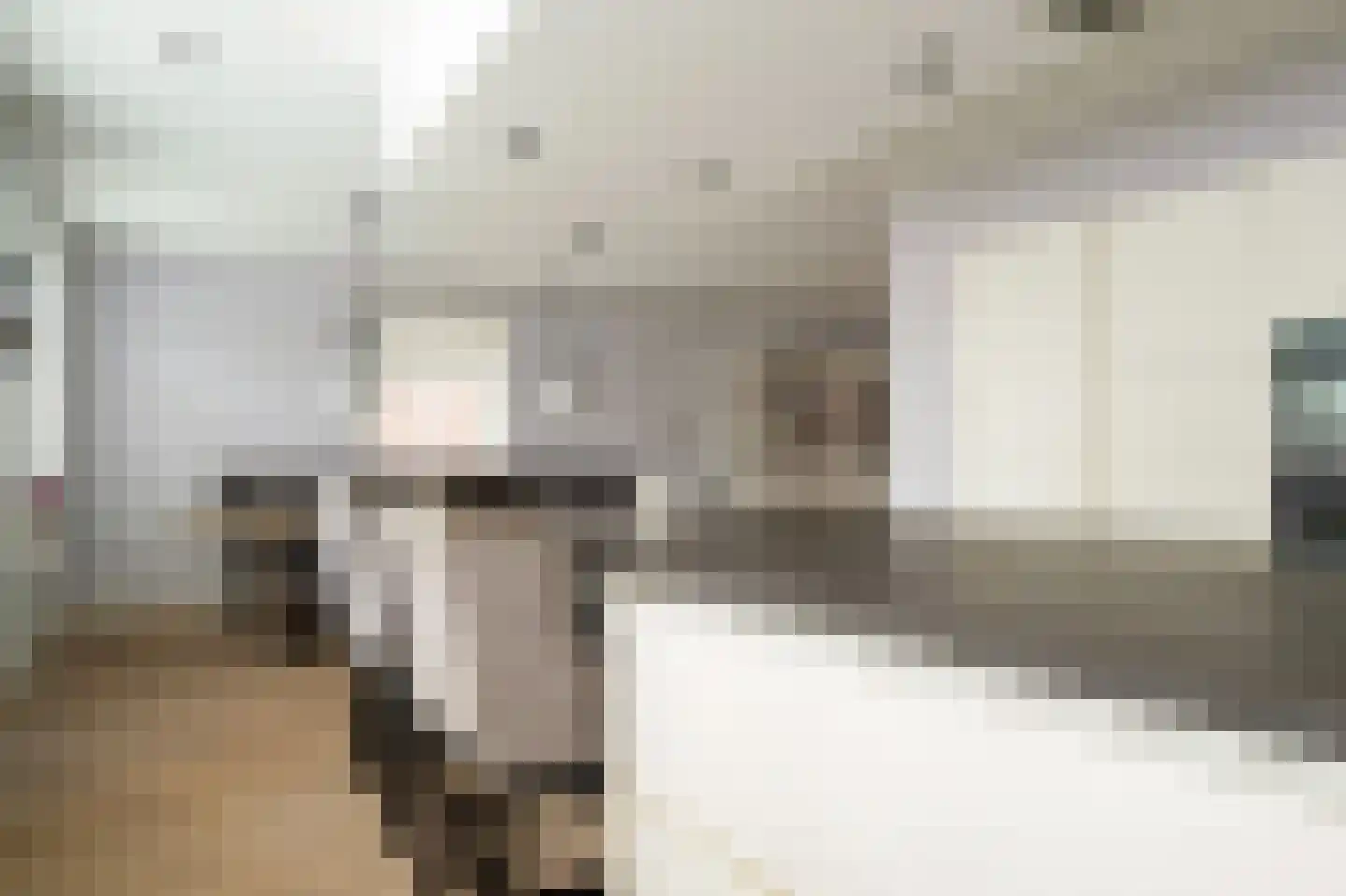 Langhuislaan 19 Landsmeer thumbnail 13