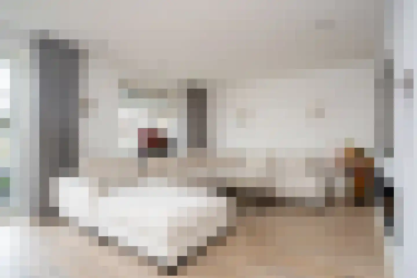 Langhuislaan 19 Landsmeer thumbnail 8