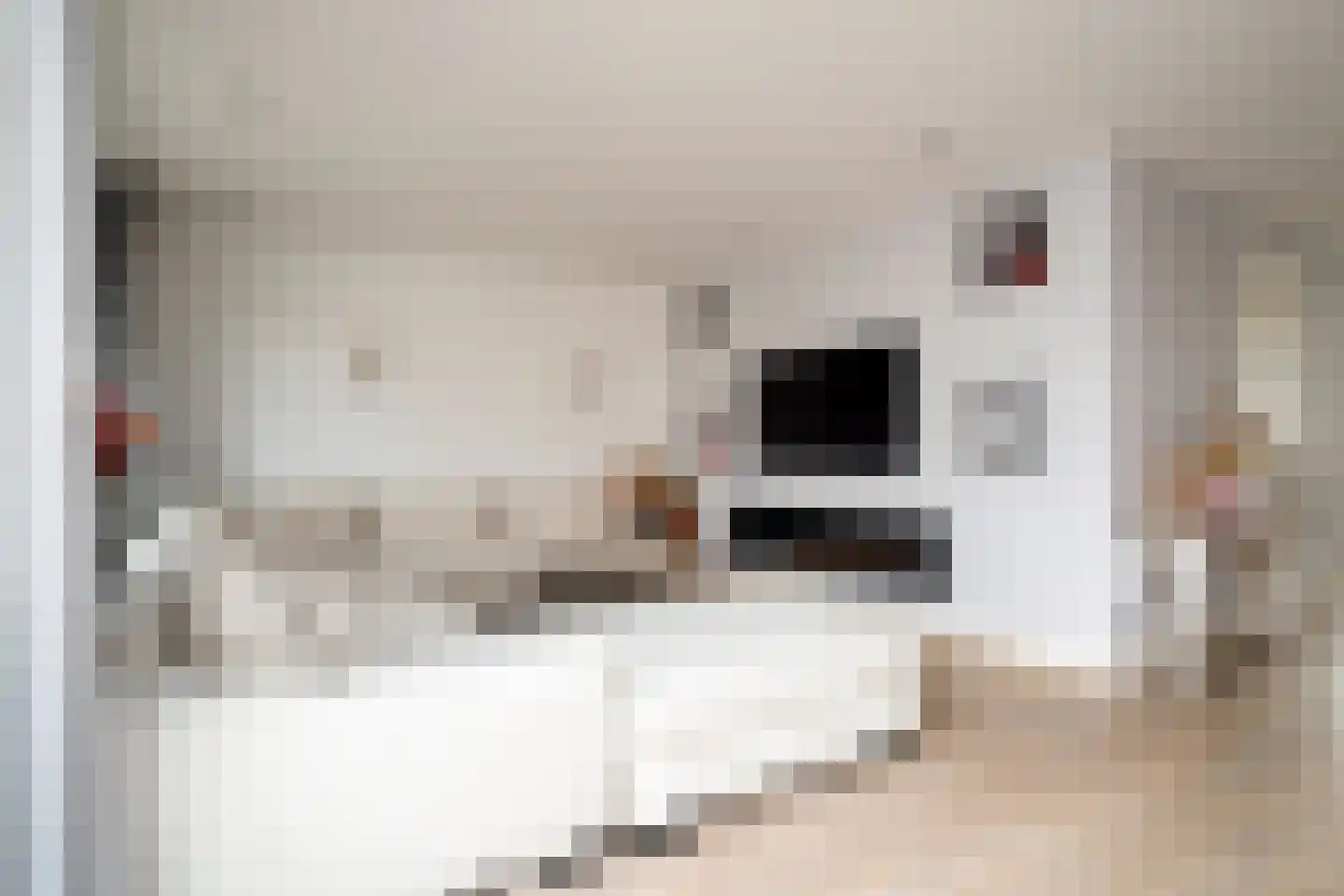 Langhuislaan 19 Landsmeer thumbnail 9
