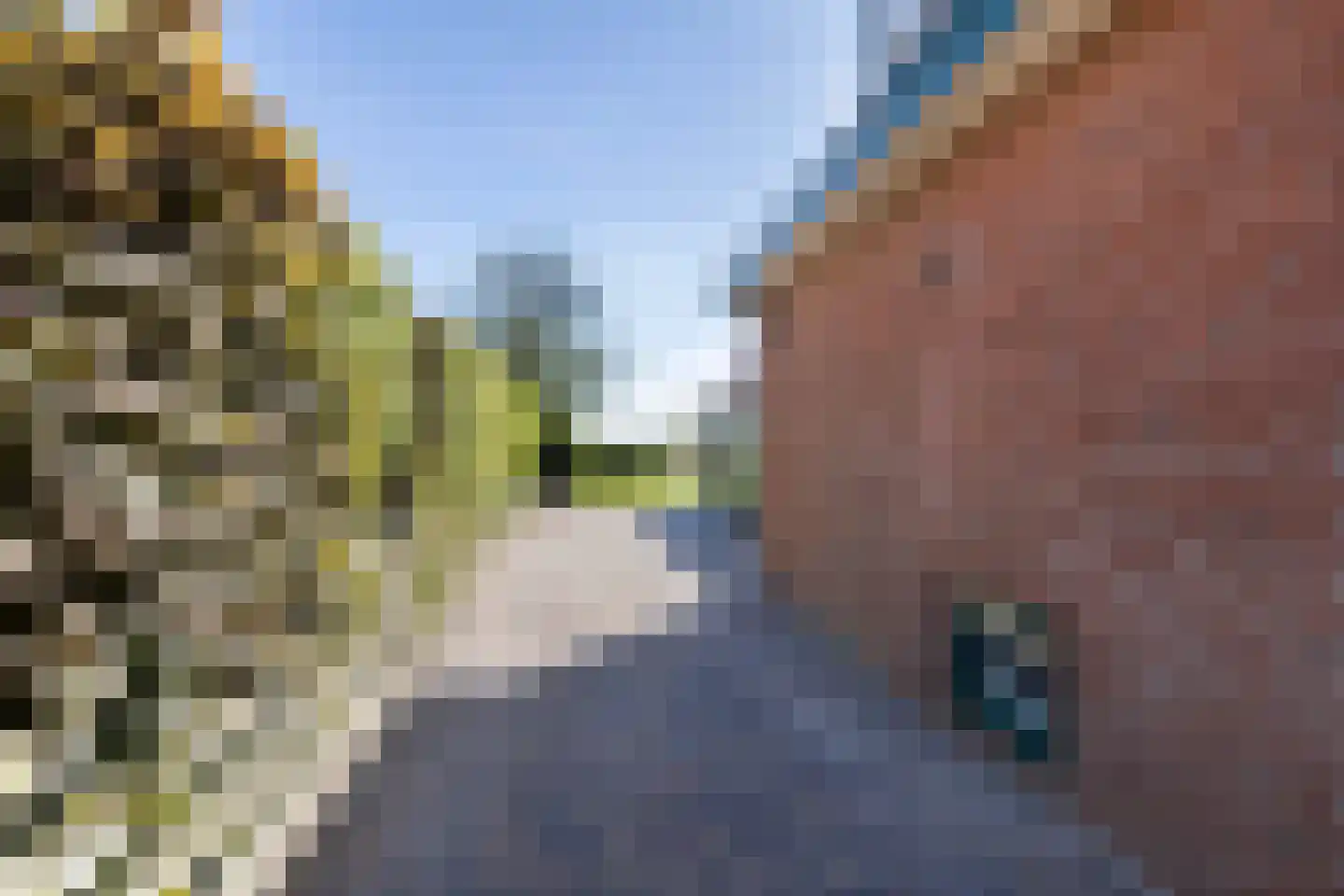 Langhuisterweg 60 St.-Annaparochie thumbnail 17