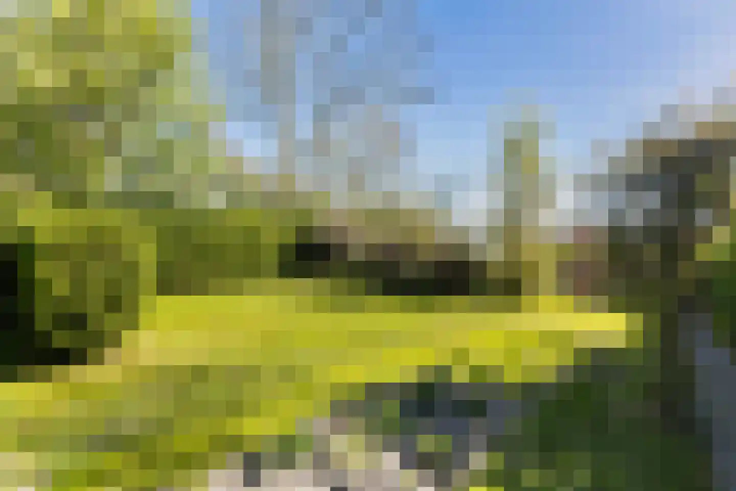 Langhuisterweg 60 St.-Annaparochie thumbnail 21