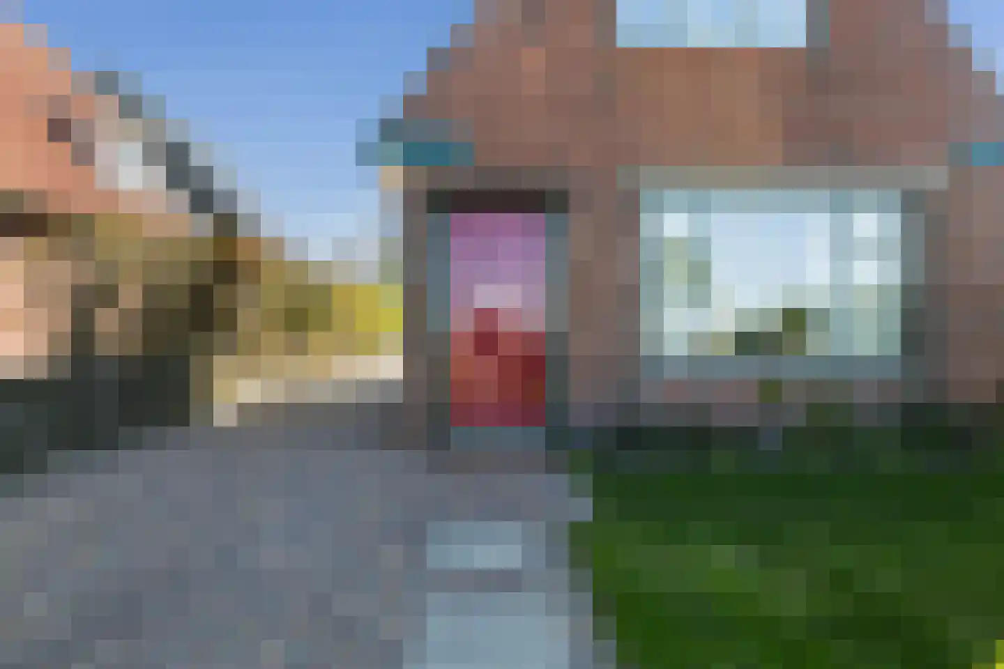 Langhuisterweg 60 St.-Annaparochie thumbnail 28