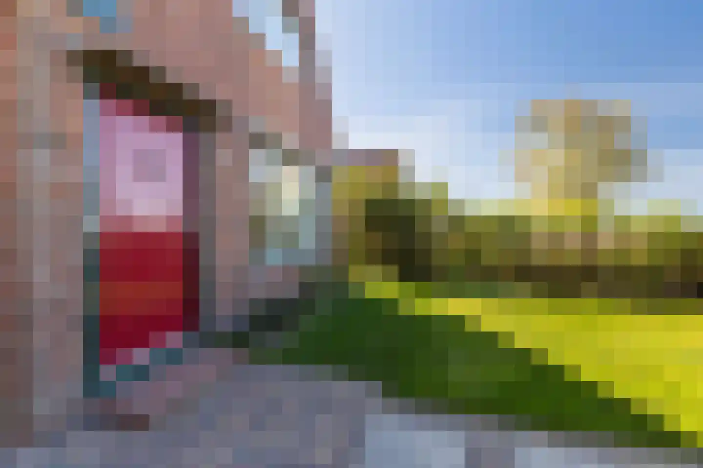Langhuisterweg 60 St.-Annaparochie thumbnail 29
