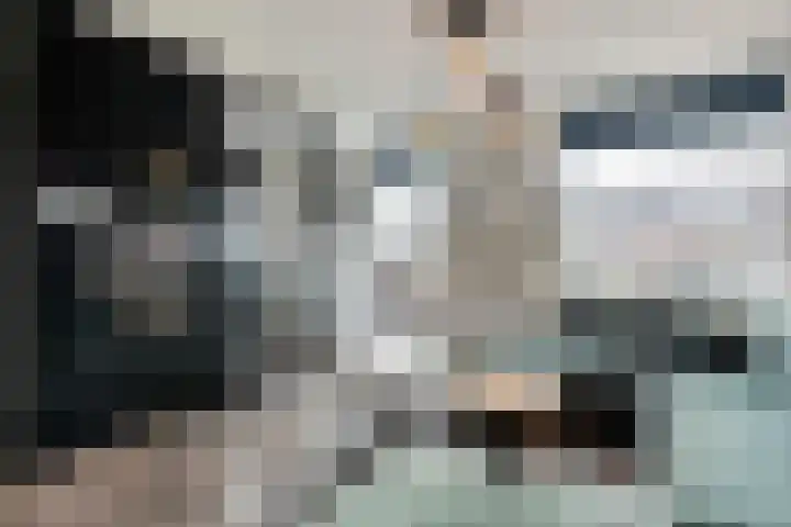 Langkamp 8 Dalfsen thumbnail 10