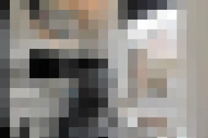 Langkamp 8 Dalfsen thumbnail 12