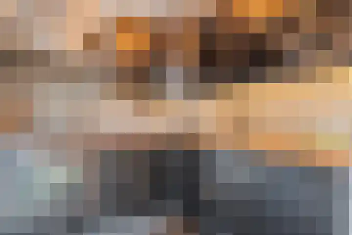 Langkamp 8 Dalfsen thumbnail 14
