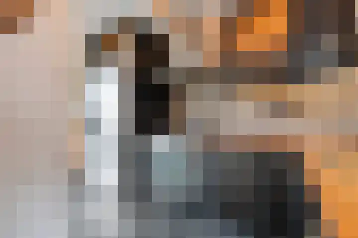 Langkamp 8 Dalfsen thumbnail 16
