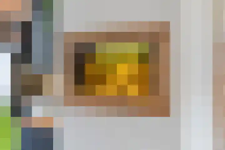 Langkamp 8 Dalfsen thumbnail 17