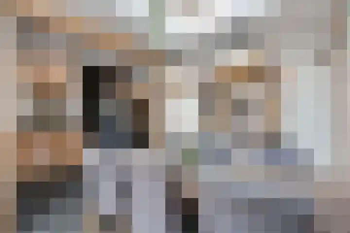 Langkamp 8 Dalfsen thumbnail 20