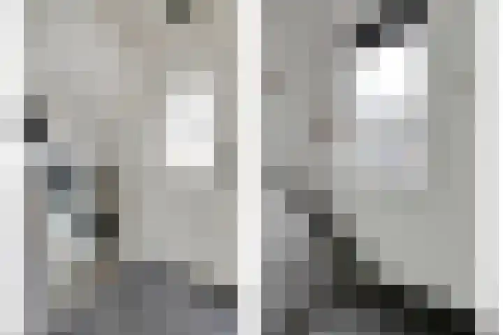 Langkamp 8 Dalfsen thumbnail 25