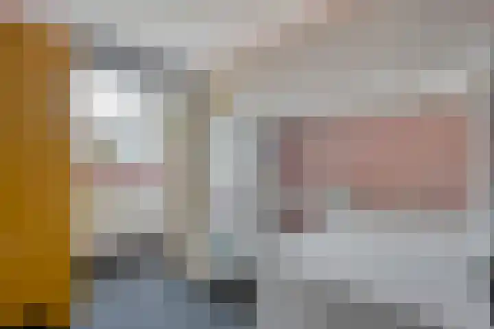 Langkamp 8 Dalfsen thumbnail 30