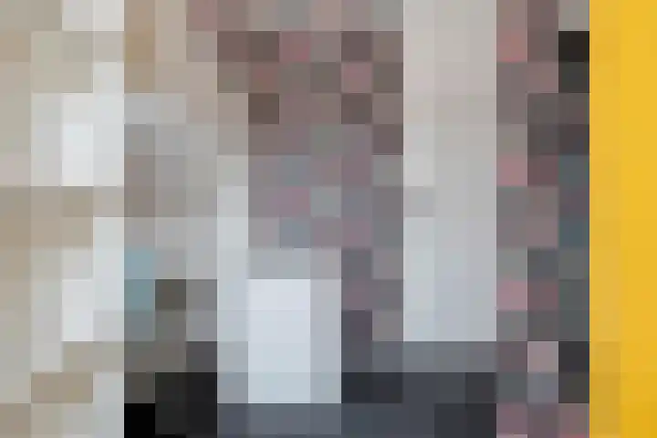 Langkamp 8 Dalfsen thumbnail 31