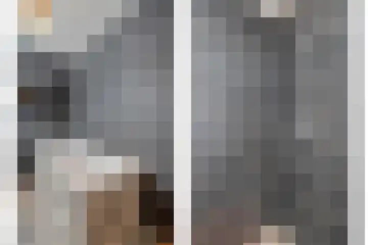 Langkamp 8 Dalfsen thumbnail 35