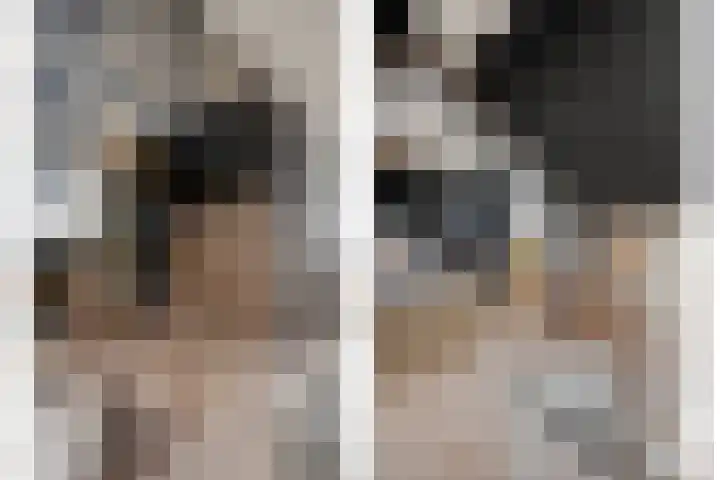 Langkamp 8 Dalfsen thumbnail 36