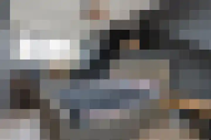 Langkamp 8 Dalfsen thumbnail 37