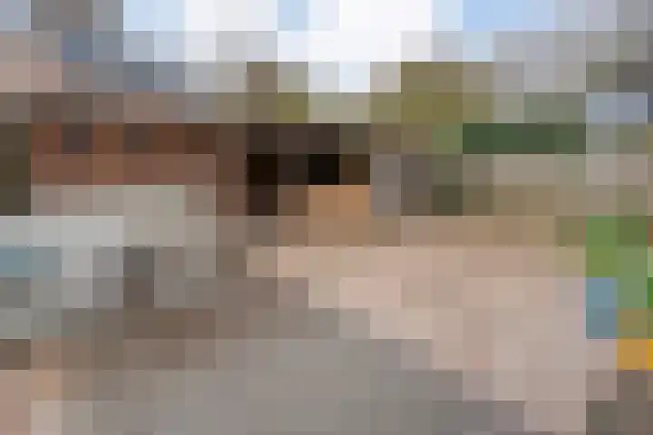 Langkamp 8 Dalfsen thumbnail 39