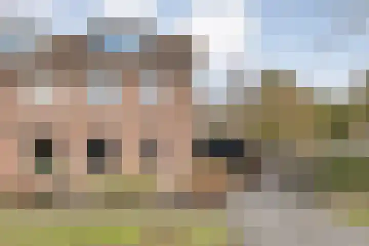 Langkamp 8 Dalfsen thumbnail 4