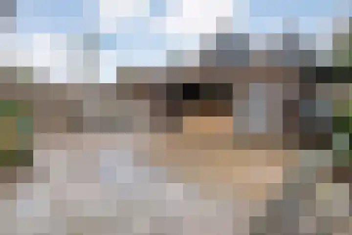 Langkamp 8 Dalfsen thumbnail 40