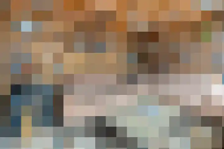 Langkamp 8 Dalfsen thumbnail 42