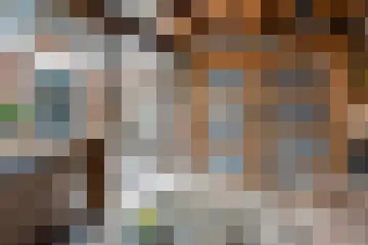 Langkamp 8 Dalfsen thumbnail 43
