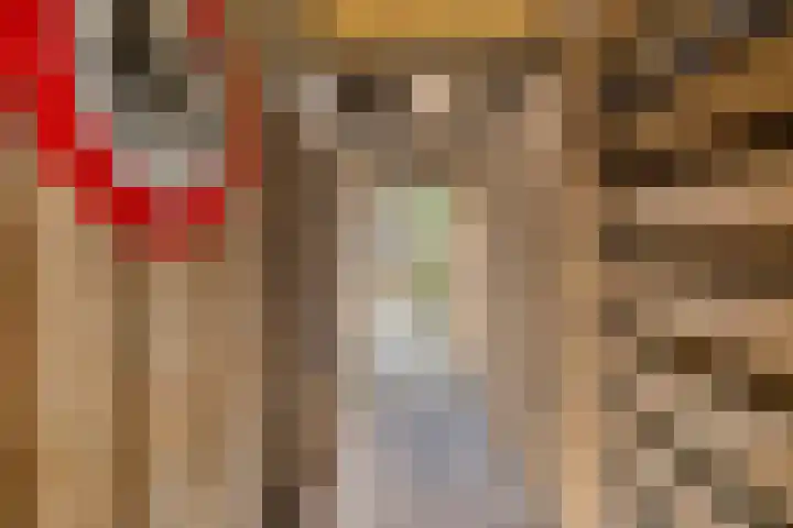 Langkamp 8 Dalfsen thumbnail 44