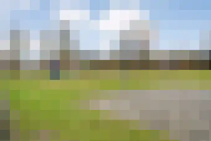 Langkamp 8 Dalfsen thumbnail 47