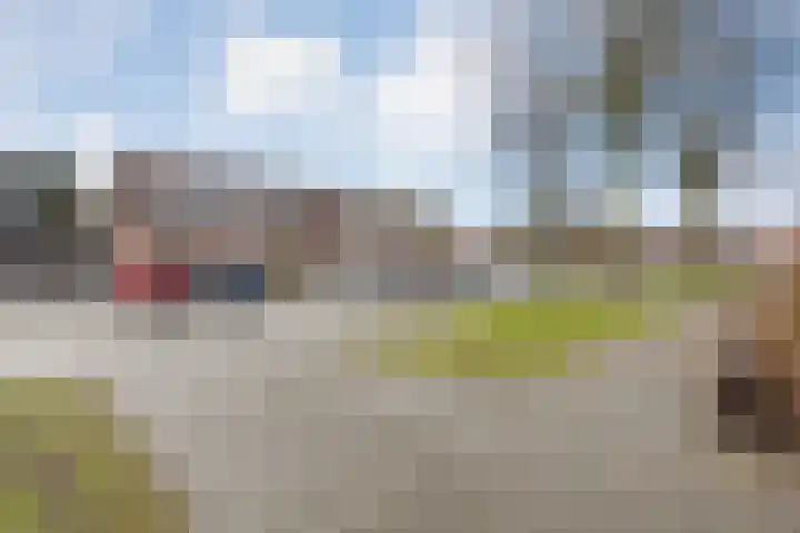 Langkamp 8 Dalfsen thumbnail 48