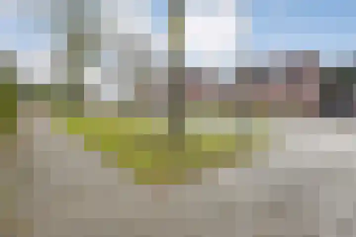 Langkamp 8 Dalfsen thumbnail 49