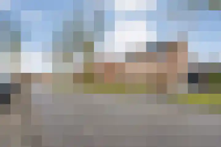 Langkamp 8 Dalfsen thumbnail 5