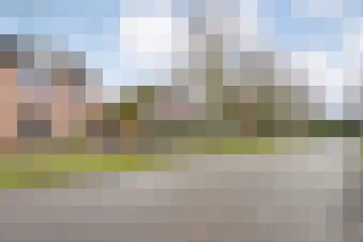 Langkamp 8 Dalfsen thumbnail 50