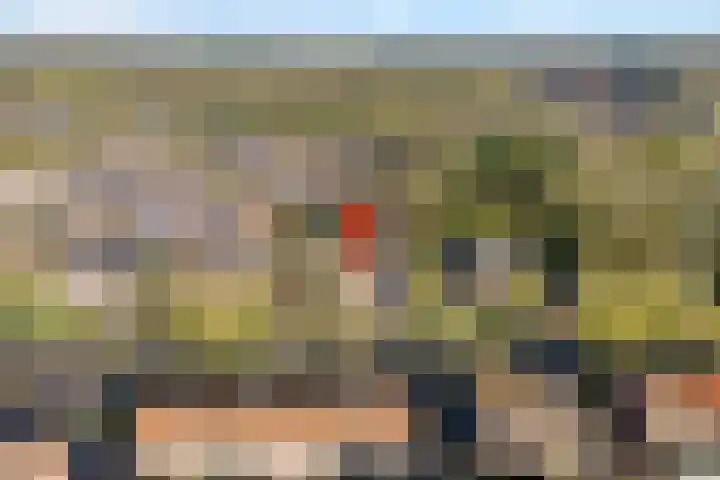 Langkamp 8 Dalfsen thumbnail 51