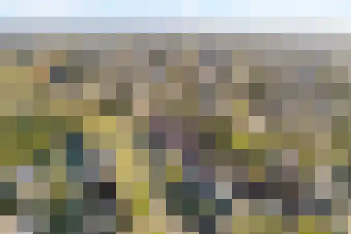 Langkamp 8 Dalfsen thumbnail 52