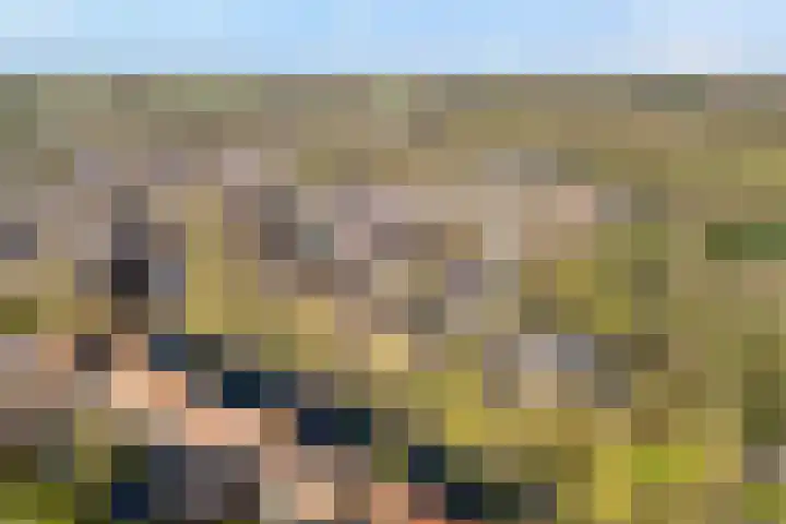 Langkamp 8 Dalfsen thumbnail 55