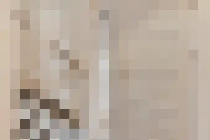 Langkamp 8 Dalfsen thumbnail 7
