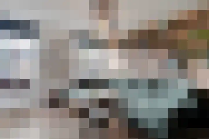 Langkamp 8 Dalfsen thumbnail 9