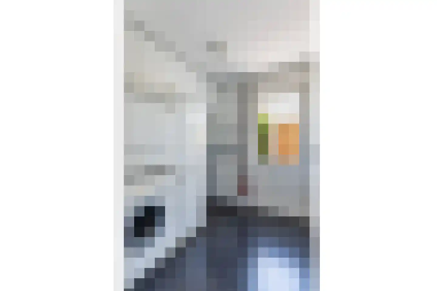 Langkamp 89 Dalfsen thumbnail 11