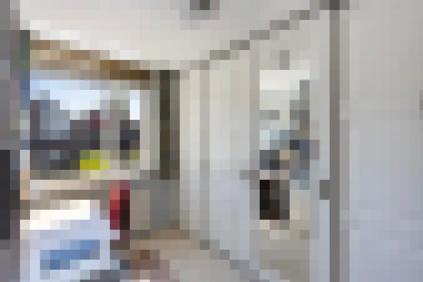 Langkamp 89 Dalfsen thumbnail 18