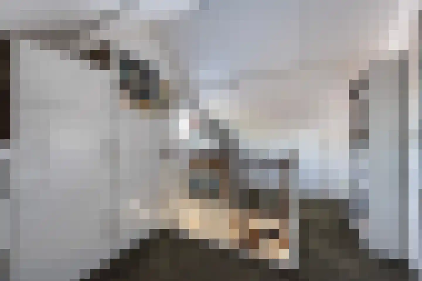 Langkamp 89 Dalfsen thumbnail 25