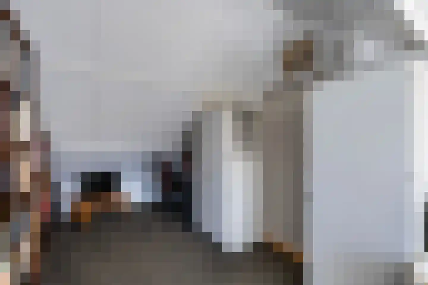 Langkamp 89 Dalfsen thumbnail 27